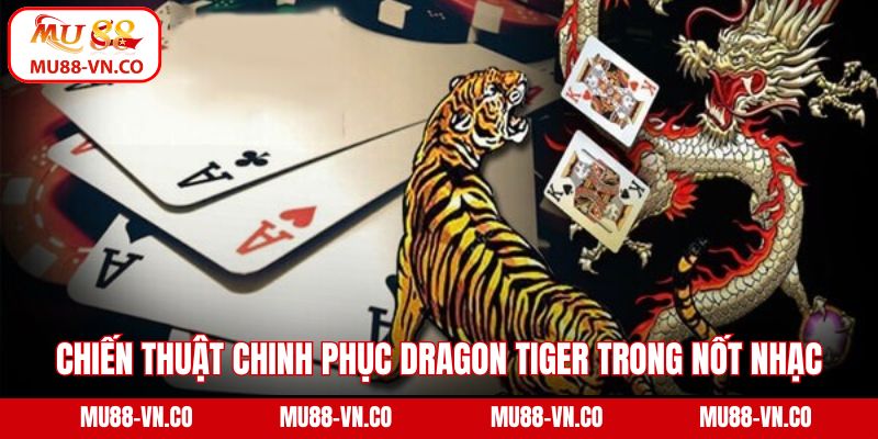 Chiến thuật chinh phục Dragon Tiger trong một nốt nhạc