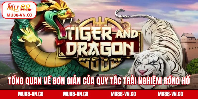Tổng quan về sự đơn giản của quy tắc trải nghiệm Rồng Hổ