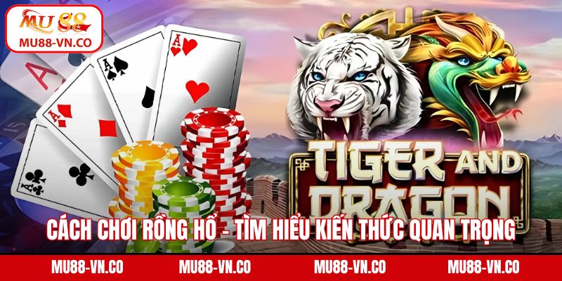 Cách chơi Rồng Hổ