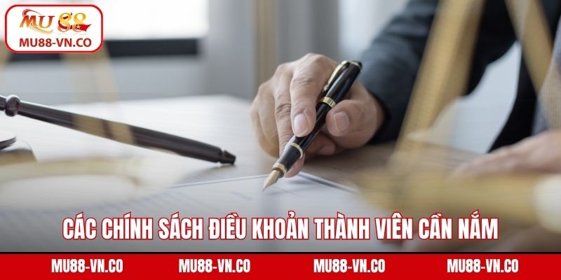Điều Khoản Và Điều Kiện - Quy Định Khi Tham Gia MU88 3 Các chính sách điều khoản thành viên cần nắm khi tham gia