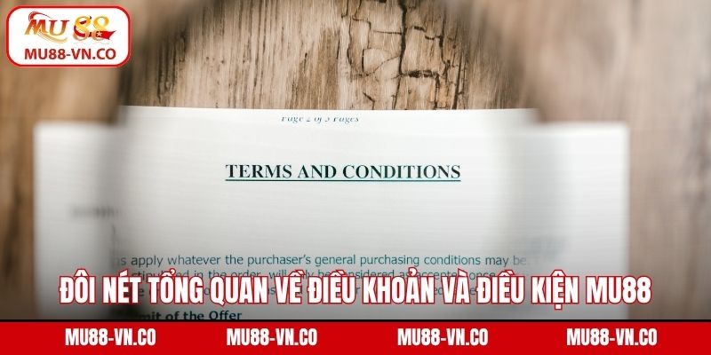 Điều Khoản Và Điều Kiện - Quy Định Khi Tham Gia MU88 1 Đôi nét tổng quan về điều khoản và điều kiện MU88