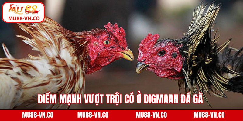 Điểm mạnh vượt trội có ở DIGMAAN đá gà 