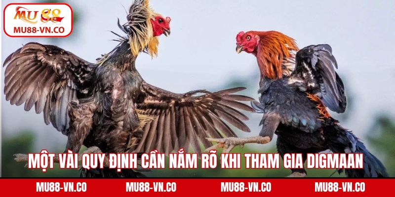 Một vài quy định cần nắm rõ khi tham gia DIGMAAN 