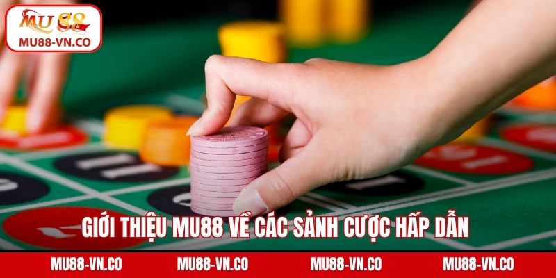 Giới thiệu Mu88 về các sảnh cược hấp dẫn 