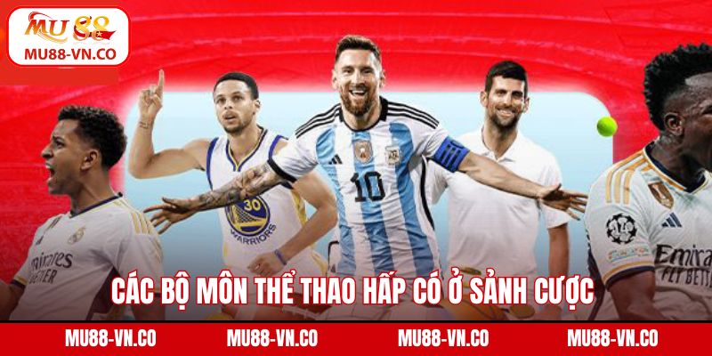 Các bộ môn thể thao hấp có ở sảnh cược 