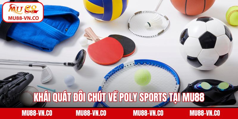 Khái quát đôi chút về Poly Sports tại MU88